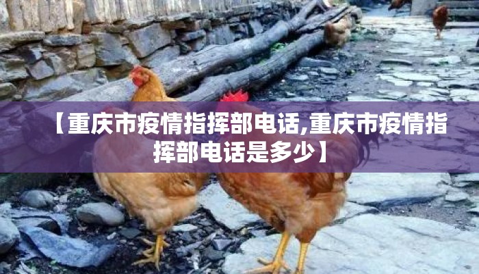 【重庆市疫情指挥部电话,重庆市疫情指挥部电话是多少】