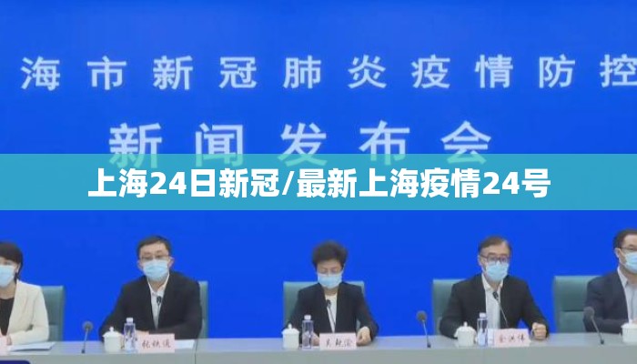 上海24日新冠/最新上海疫情24号