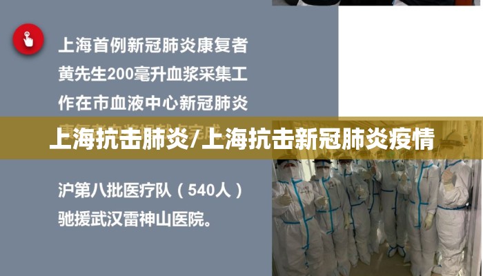 上海抗击肺炎/上海抗击新冠肺炎疫情