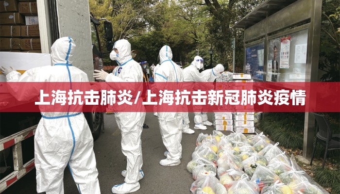 上海抗击肺炎/上海抗击新冠肺炎疫情