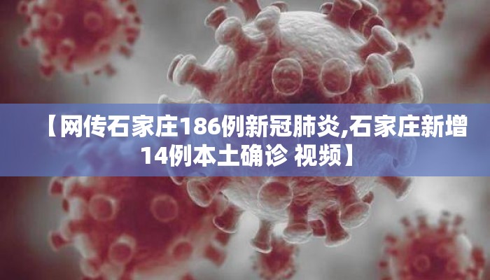 【网传石家庄186例新冠肺炎,石家庄新增14例本土确诊 视频】