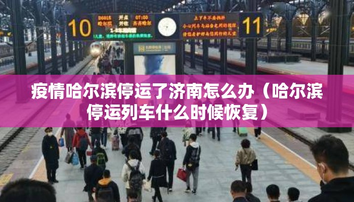 疫情哈尔滨停运了济南怎么办（哈尔滨停运列车什么时候恢复）