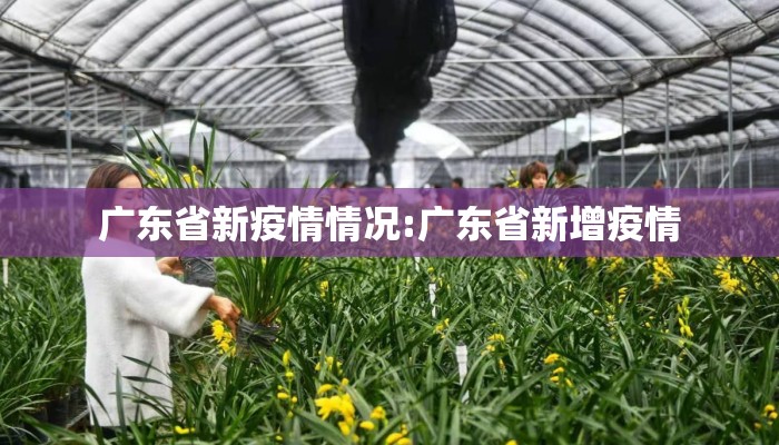 广东省新疫情情况:广东省新增疫情