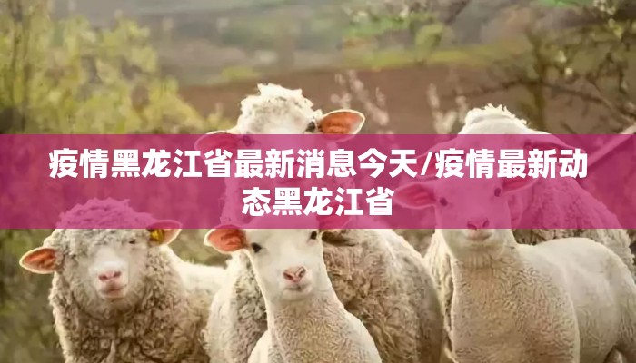 疫情黑龙江省最新消息今天/疫情最新动态黑龙江省
