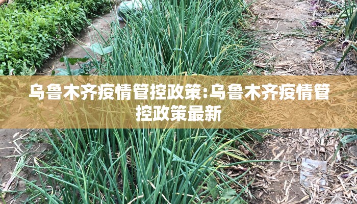 乌鲁木齐疫情管控政策:乌鲁木齐疫情管控政策最新