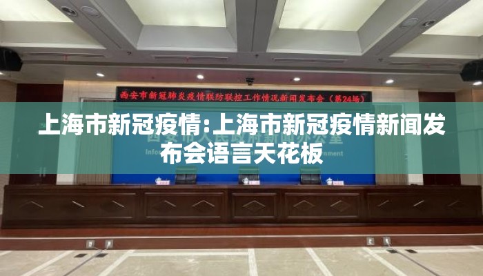 上海市新冠疫情:上海市新冠疫情新闻发布会语言天花板