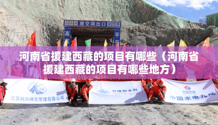 河南省援建西藏的项目有哪些（河南省援建西藏的项目有哪些地方）