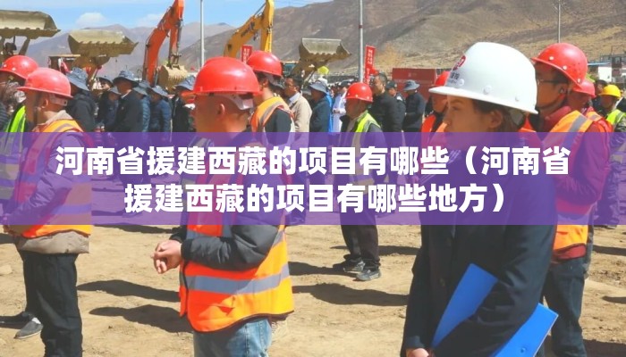 河南省援建西藏的项目有哪些（河南省援建西藏的项目有哪些地方）