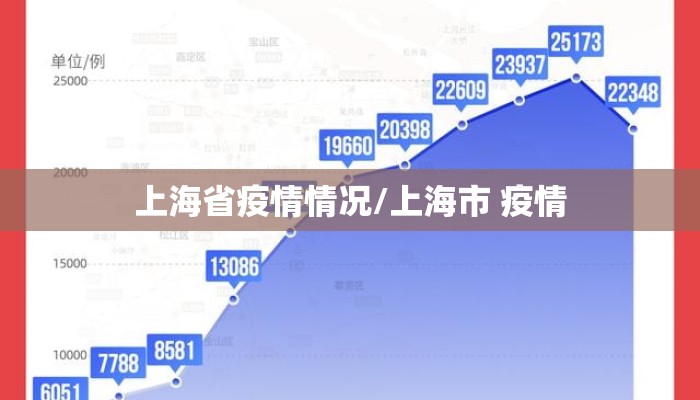 上海省疫情情况/上海市 疫情