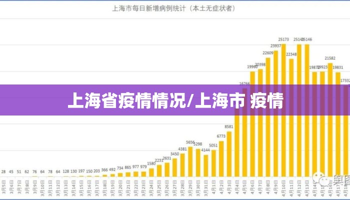 上海省疫情情况/上海市 疫情