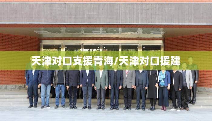 天津对口支援青海/天津对口援建