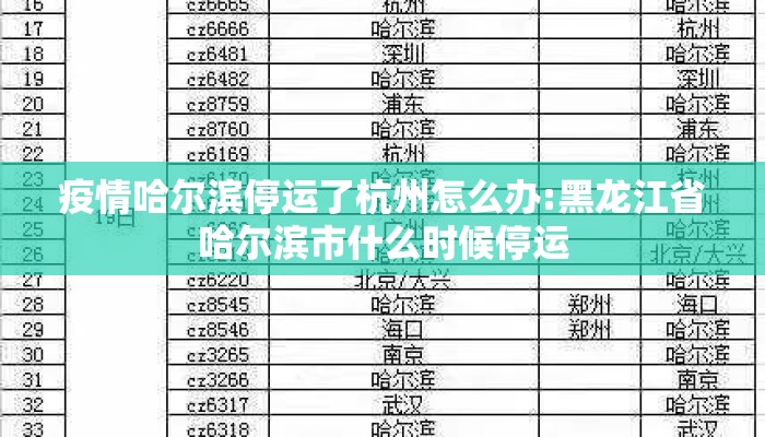 疫情哈尔滨停运了杭州怎么办:黑龙江省哈尔滨市什么时候停运