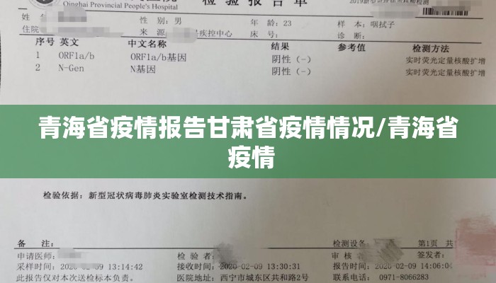 青海省疫情报告甘肃省疫情情况/青海省 疫情 青海省疫情报告甘肃省疫情情况/青海省 疫情