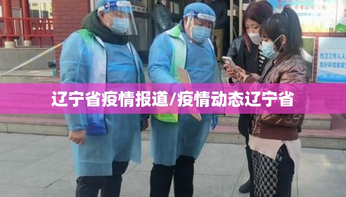 辽宁省疫情报道/疫情动态辽宁省