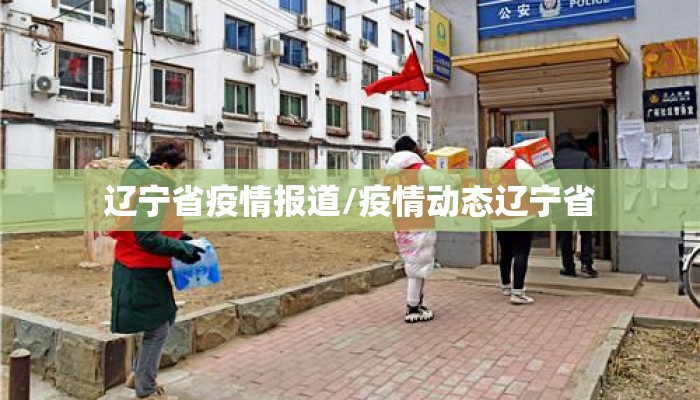 辽宁省疫情报道/疫情动态辽宁省