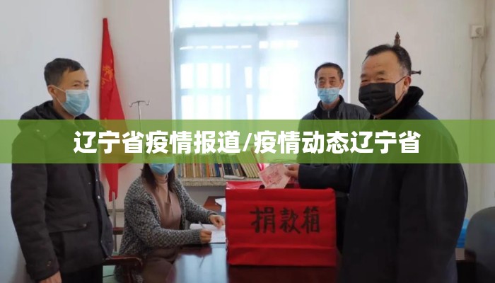 辽宁省疫情报道/疫情动态辽宁省