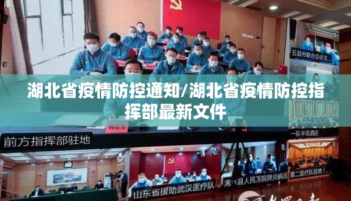 湖北省疫情防控通知/湖北省疫情防控指挥部最新文件 湖北省疫情防控通知/湖北省疫情防控指挥部最新文件