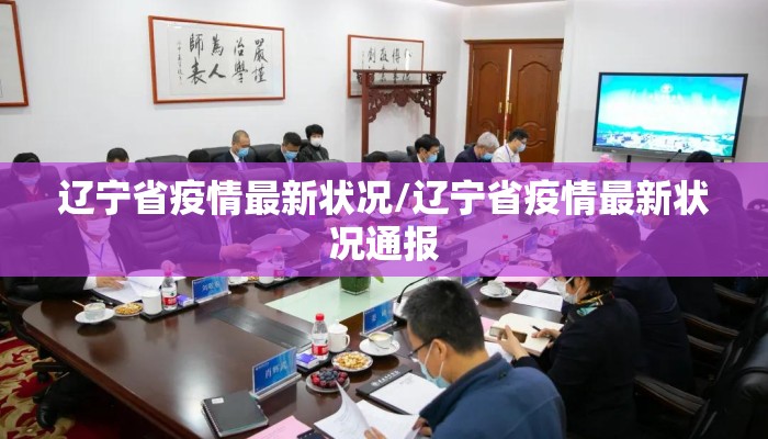 辽宁省疫情最新状况/辽宁省疫情最新状况通报