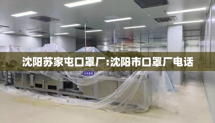 沈阳苏家屯口罩厂:沈阳市口罩厂电话