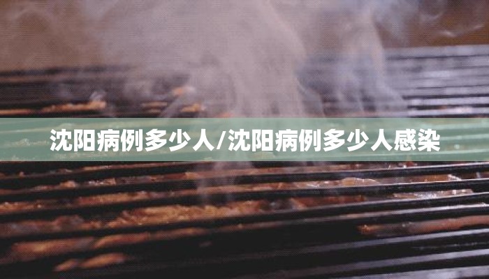 沈阳病例多少人/沈阳病例多少人感染