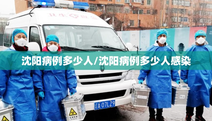 沈阳病例多少人/沈阳病例多少人感染