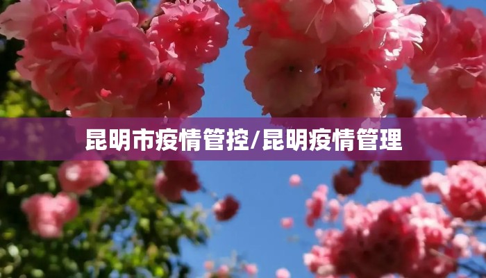 昆明市疫情管控/昆明疫情管理