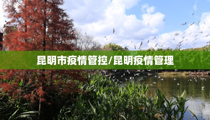 昆明市疫情管控/昆明疫情管理