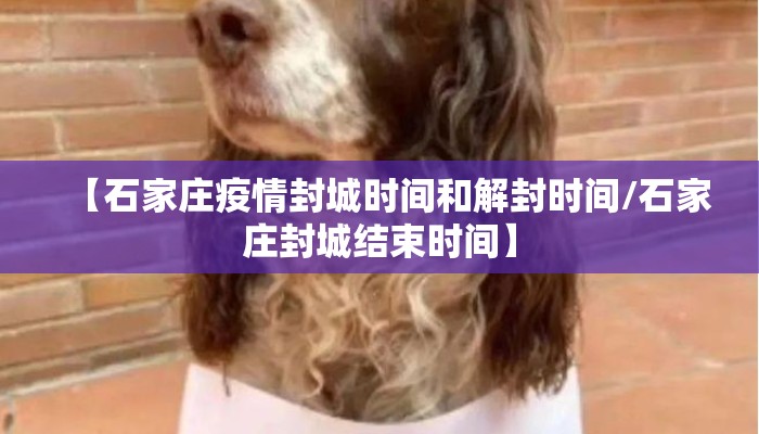 【石家庄疫情封城时间和解封时间/石家庄封城结束时间】