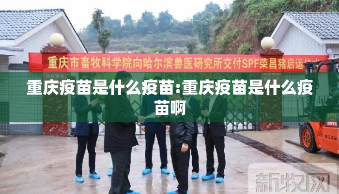 重庆疫苗是什么疫苗:重庆疫苗是什么疫苗啊