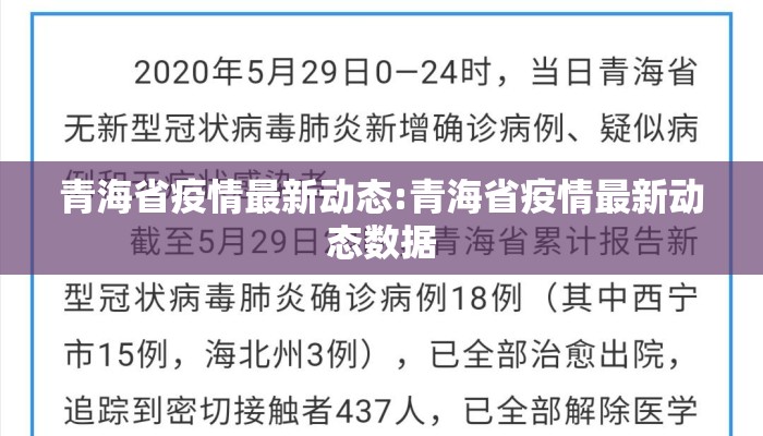 青海省疫情最新动态:青海省疫情最新动态数据