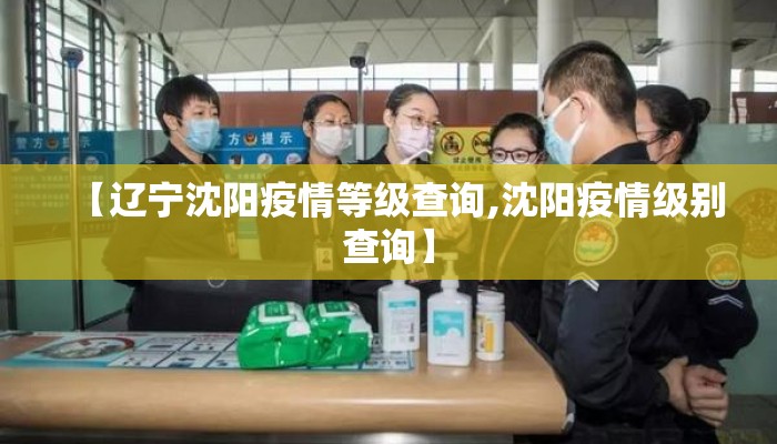 【辽宁沈阳疫情等级查询,沈阳疫情级别查询】