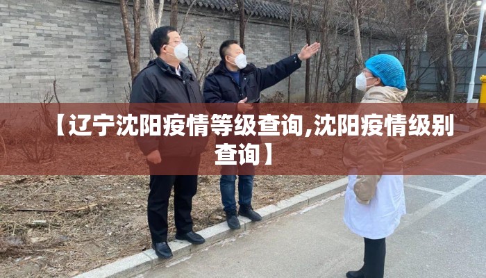 【辽宁沈阳疫情等级查询,沈阳疫情级别查询】