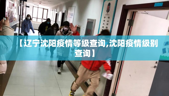 【辽宁沈阳疫情等级查询,沈阳疫情级别查询】