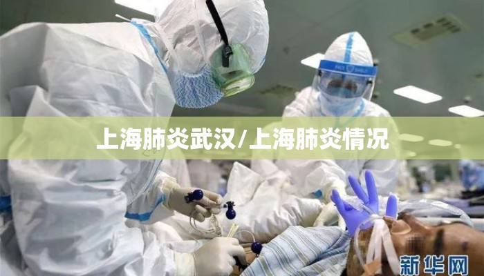 上海肺炎武汉/上海肺炎情况