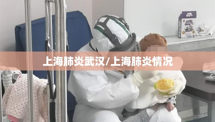 上海肺炎武汉/上海肺炎情况