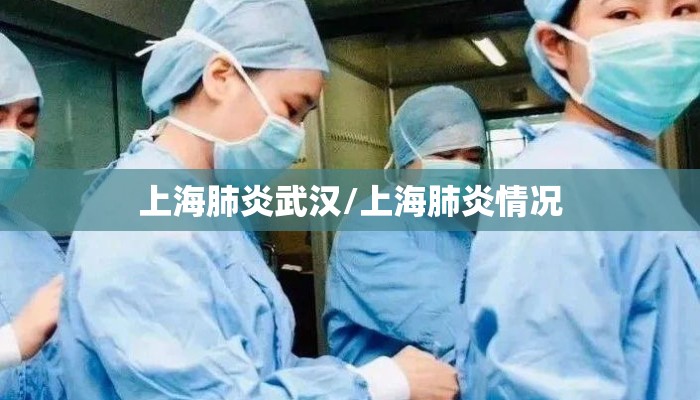 上海肺炎武汉/上海肺炎情况