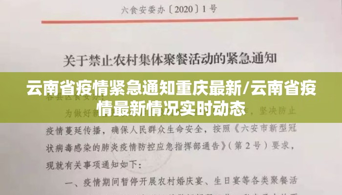 云南省疫情紧急通知重庆最新/云南省疫情最新情况实时动态
