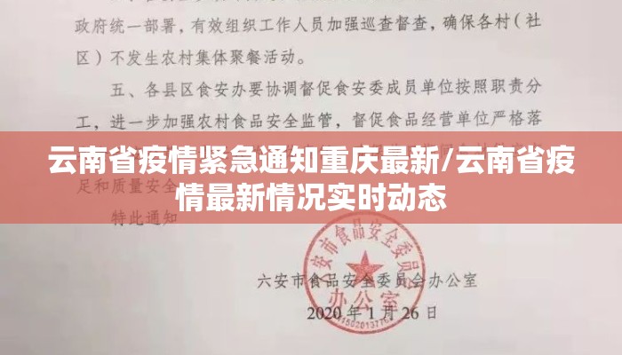 云南省疫情紧急通知重庆最新/云南省疫情最新情况实时动态