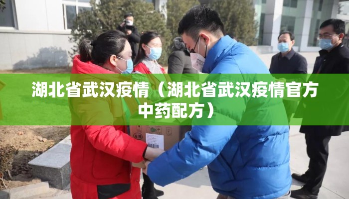 湖北省武汉疫情（湖北省武汉疫情官方中药配方）
