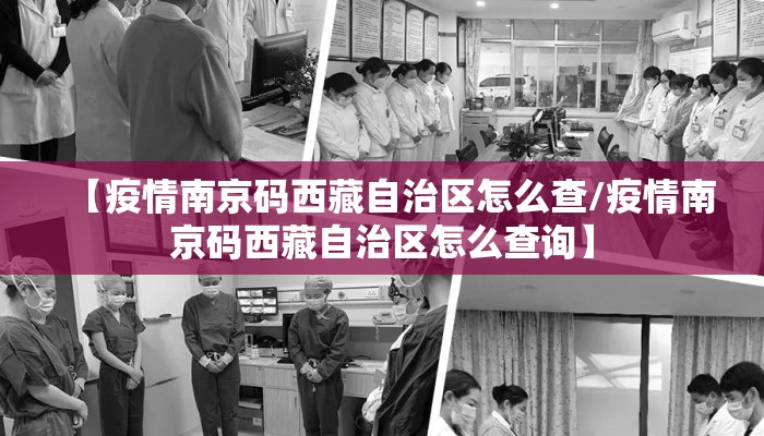 【疫情南京码西藏自治区怎么查/疫情南京码西藏自治区怎么查询】