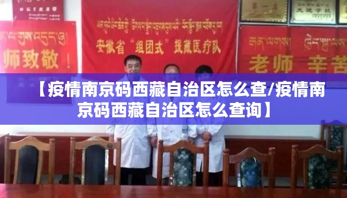 【疫情南京码西藏自治区怎么查/疫情南京码西藏自治区怎么查询】