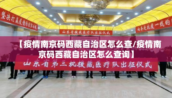 【疫情南京码西藏自治区怎么查/疫情南京码西藏自治区怎么查询】