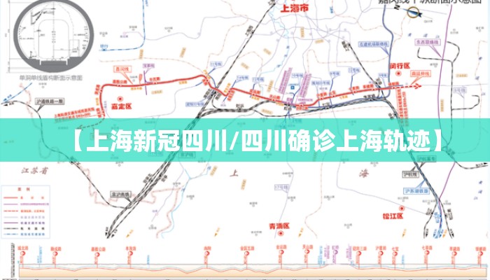 【上海新冠四川/四川确诊上海轨迹】