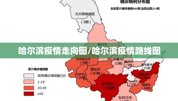 哈尔滨疫情走向图/哈尔滨疫情路线图