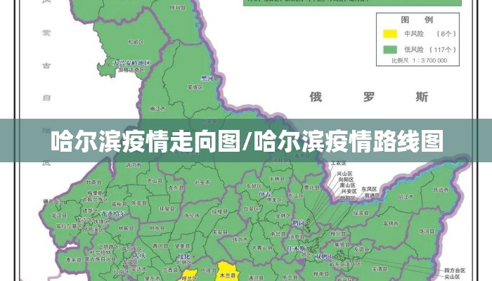 哈尔滨疫情走向图/哈尔滨疫情路线图