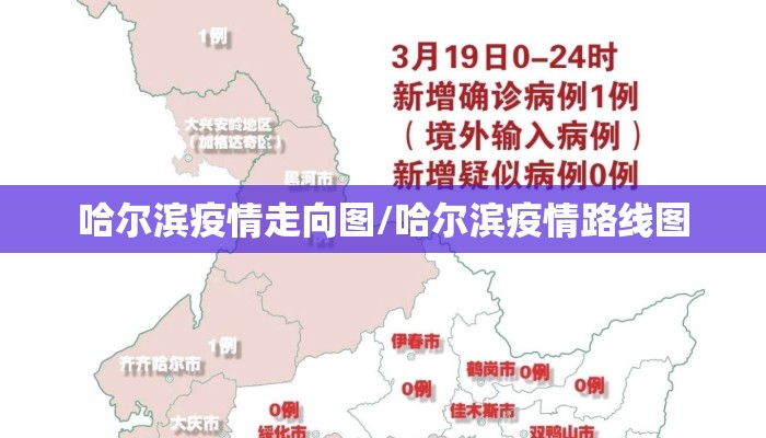 哈尔滨疫情走向图/哈尔滨疫情路线图