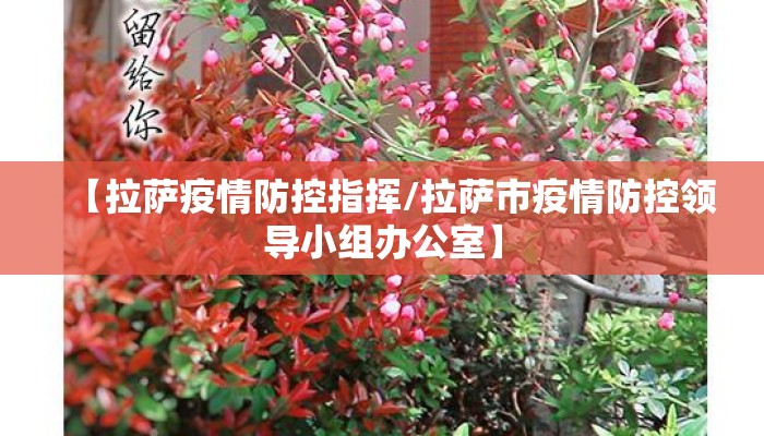 【拉萨疫情防控指挥/拉萨市疫情防控领导小组办公室】