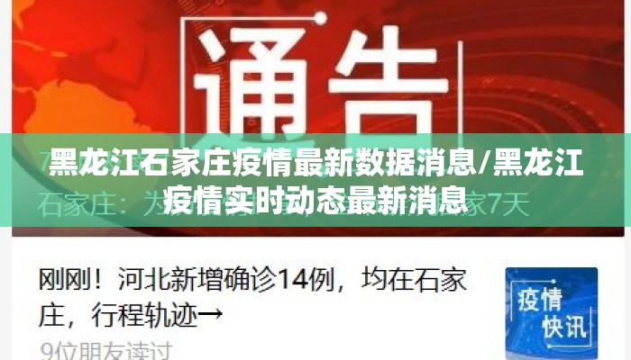 黑龙江石家庄疫情最新数据消息/黑龙江疫情实时动态最新消息