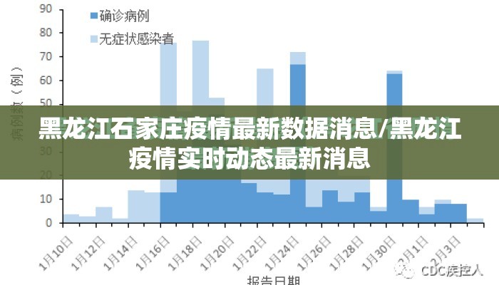 黑龙江石家庄疫情最新数据消息/黑龙江疫情实时动态最新消息