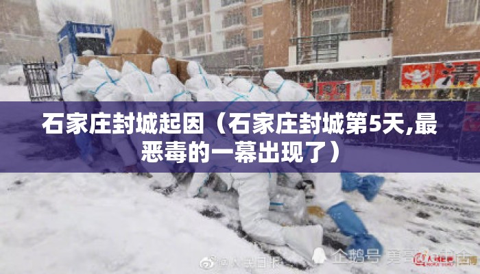 石家庄封城起因（石家庄封城第5天,最恶毒的一幕出现了）